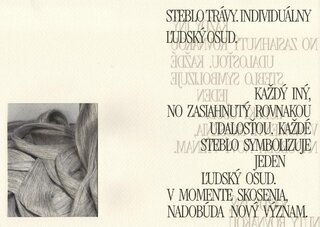 Adela Kuviková – cesta umením – Živý bič (moodboard)