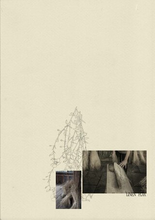 Adela Kuviková – cesta umením – Živý bič (moodboard)