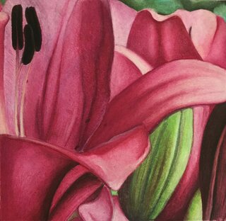 Kristína Michalovičová – detail