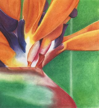 Ema Puchorová – detail