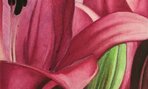 Kristína Michalovičová – detail